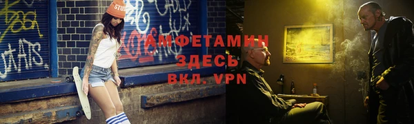 прущие грибы Бородино