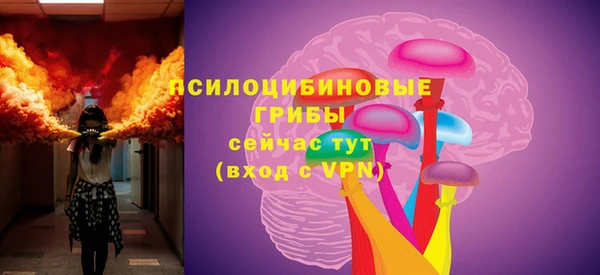 прущие грибы Бородино
