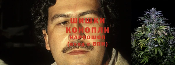 прущие грибы Бородино