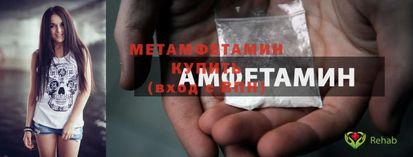 прущие грибы Бородино