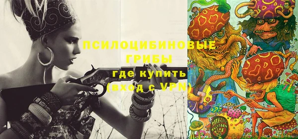 прущие грибы Бородино