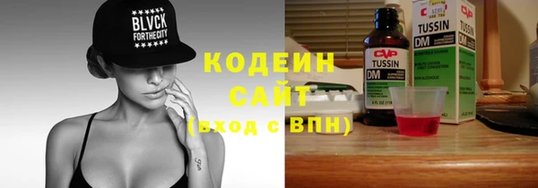 прущие грибы Бородино