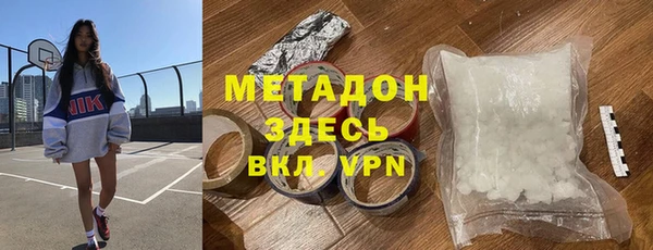 прущие грибы Бородино