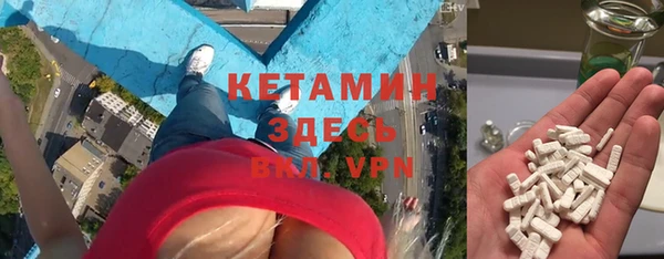 прущие грибы Бородино