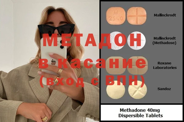 прущие грибы Бородино